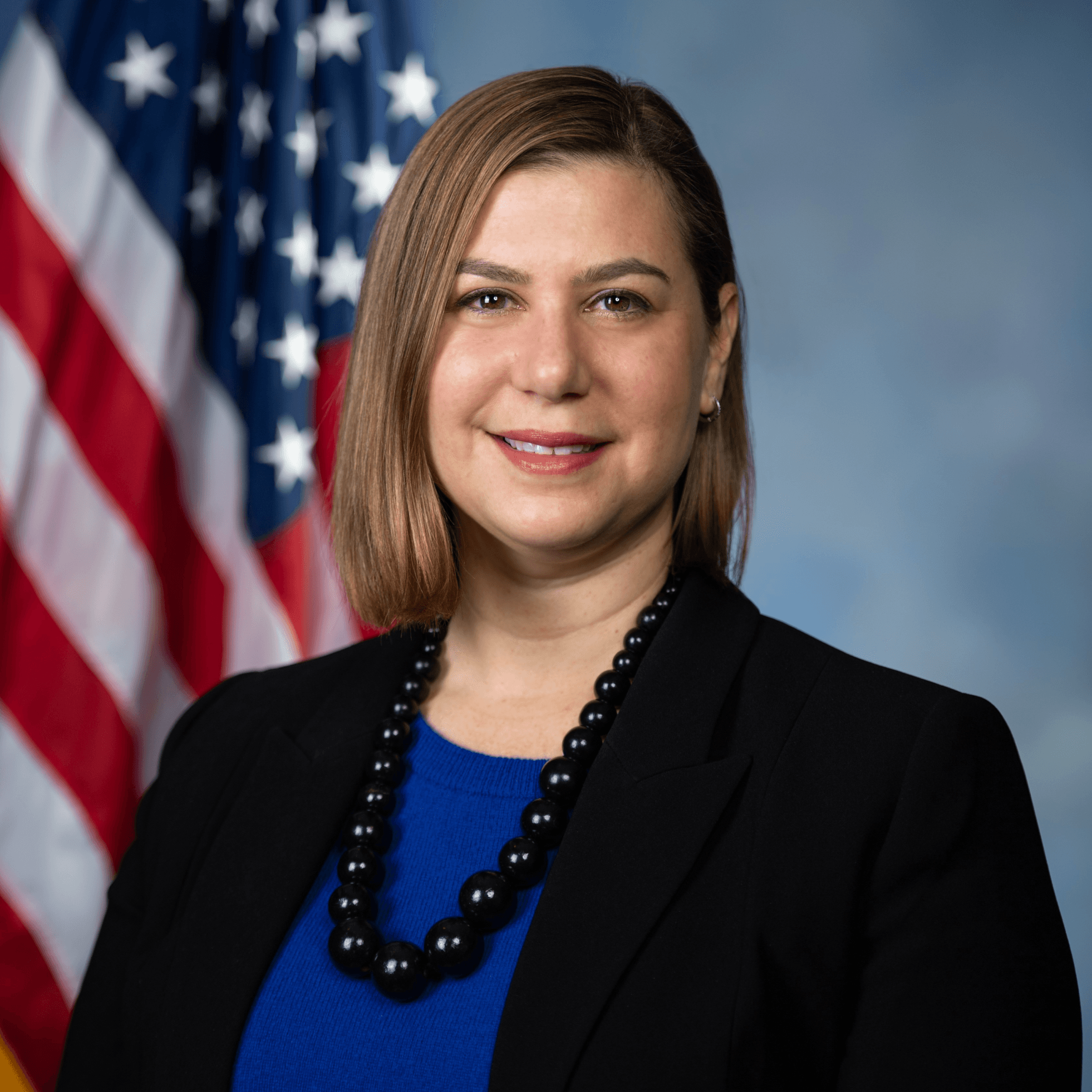 profile picture of Elissa Slotkin